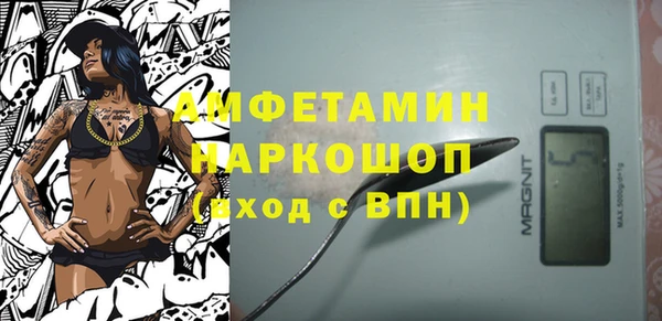 шишки Белокуриха