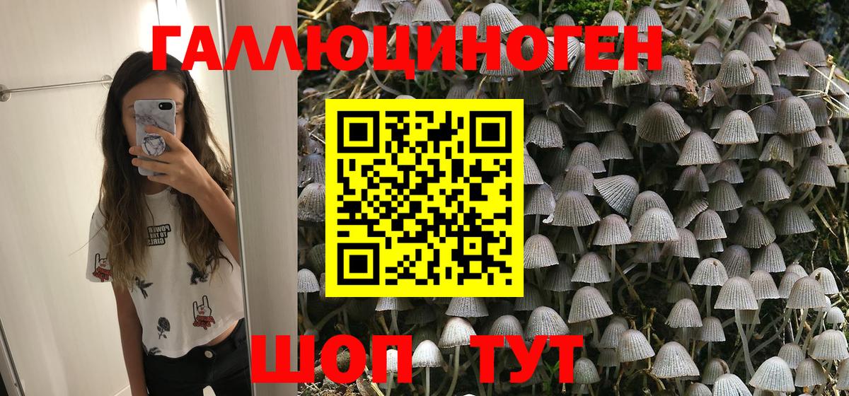 купить   Псилоцибиновые грибы GOLDEN TEACHER  Вход с VPN  Губаха 